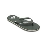 Quiksilver Molokai Core