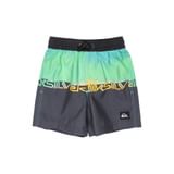 Quiksilver Everyday
