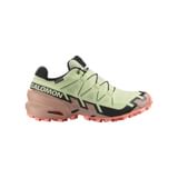 Salomon Speedcross 6 GTX