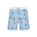 Lässig Board Shorts