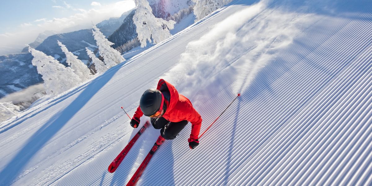 Горные лыжи Vito Ski