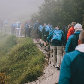 The managers on a hike in the fog.
