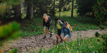 Eine Gruppe von Freunden macht sich gemeinsam auf den Weg zu einer Wanderung durch den Wald.