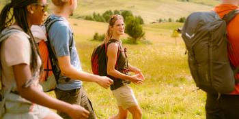 Eine Gruppe junger Wanderer geht lachend durch eine sonnige Almwiese in den Bergen. Sie tragen sportliche Kleidung und Rucksäcke und genießen gemeinsam die Natur.