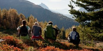 eine Gruppe von Personen sitzt auf einer Wiese und genießt den Ausblick in die hügelige Landschaft mit vielen Bäumen und grünen Berghängen
