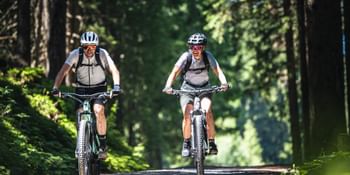 Two people wearing helmets and sunglasses ride side by side on mountain bikes along a wide forest path. Tall trees line the trail, and sunlight filters through the branches onto the ground.