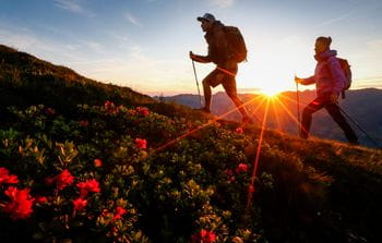 zwei Wanderer beim Sonnenaufgang, eine Blumenwiese im Vordergrund
