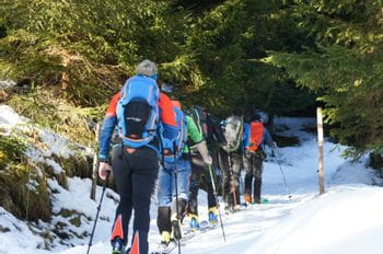 Skitourengruppe im Aufstieg