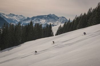 Three skiier on their way down from summit Schwalbenwand, Pinzgau