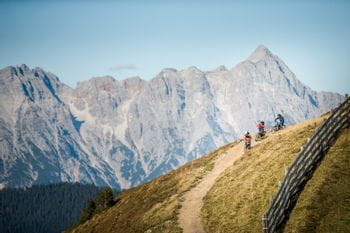 Downhill-Fahrer erklimmen einen Berg in den sommerlichen Alpen