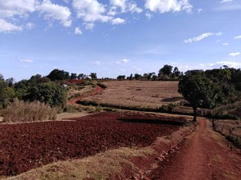 a Kenyan landscape with red soil