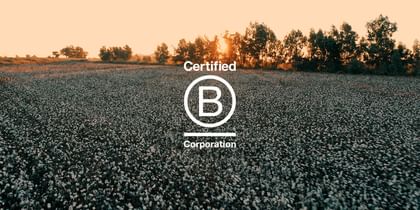 Das Bild zeigt ein weites Feld bei Sonnenuntergang, auf dem viele Pflanzen blühen. Im Vordergrund steht das Logo für "Certified B Corporation", das zentral im Bild platziert ist.