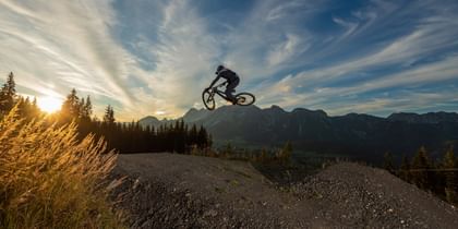 Cube Bikes TWO15
