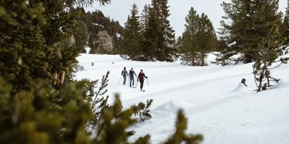 Das Bild zeigt drei Personen, die mit Schneeschuhen durch eine winterliche, schneebedeckte Landschaft wandern. Sie sind von hohen, schneebedeckten Bäumen umgeben, während sie sich durch den tiefen Schnee bewegen.