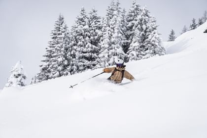 Freeride Winter 2023