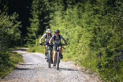 Two people wearing helmets, sunglasses, and backpacks ride side by side on mountain bikes along a narrow gravel path through a dense green forest. Tall trees and blooming plants line the trail as sunlight filters through the leaves.