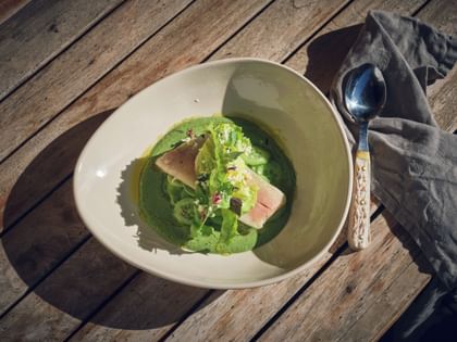 Teller mit Forellenfilet und grüner Sauce