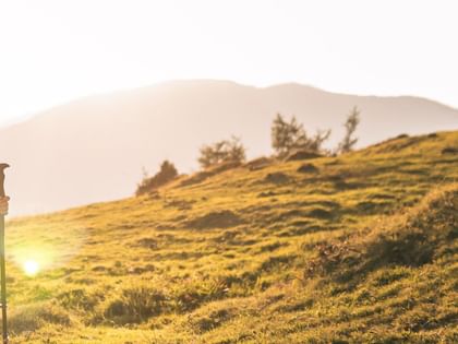 Eine Frau und ein Mann wandern mit Rucksäcken und Wanderstöcken über einen grasbewachsenen Hügel. Die tief stehende Sonne scheint von hinten und beleuchtet die Landschaft mit warmem Licht, im Hintergrund sind Bergketten zu sehen.