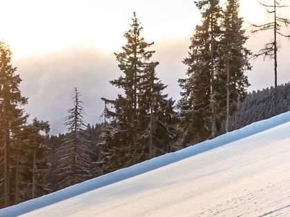 A skier wearing a pink helmet on the freshly groomed slope at sunrise. A forest is visible next to the slope.<br/>