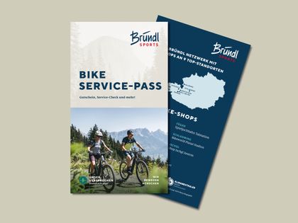 Bike Service-Pass auf Warmgrauen Hintergrund
