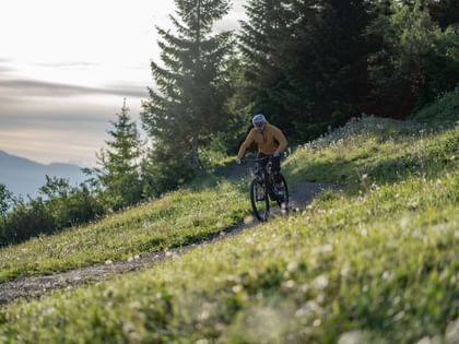 Bründl Sports employee Fabian Mitterhauser on the flowtrail in Kaprun