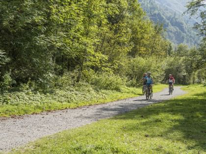 three cyclists