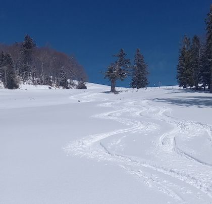 Gernot showing ski lines during descent of skitour Wieserhoerndl
