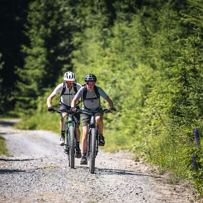 Two people wearing helmets, sunglasses, and backpacks ride side by side on mountain bikes along a narrow gravel path through a dense green forest. Tall trees and blooming plants line the trail as sunlight filters through the leaves.